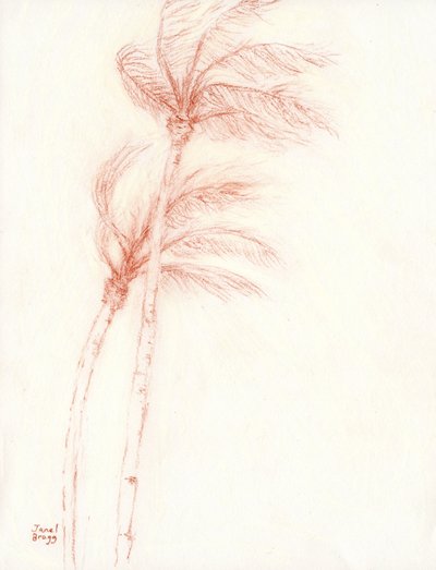 Il était une fois des vacances tropicales Palmiers, c.2019 - Janel Bragg