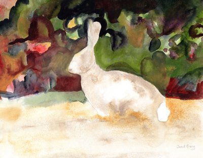 Lapin que nous avons vu lors de notre promenade, vers 2016 - Janel Bragg