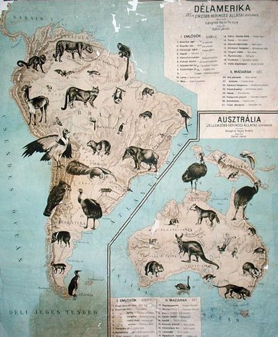 Carte des animaux en Amérique du Sud et en Australie - Janos Balint