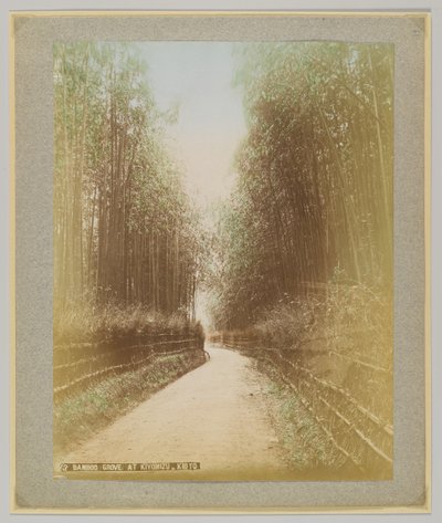 Forêt de bambous à Kiyomizu, Kyoto, Japon - Japanese Photographer