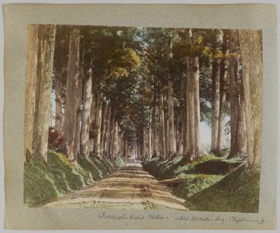 Route d