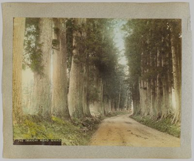 Route d