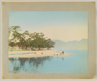 Miyajima, Japon - Japanese Photographer