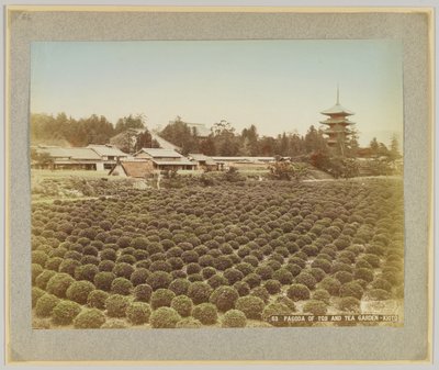 Pagode de Toji et jardin de thé, Kyoto, Japon - Japanese Photographer