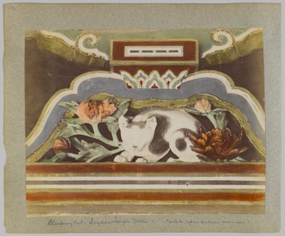 Chat endormi, détail du Tōshō-gū, Nikko, Japon - Japanese Photographer