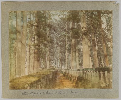 Marches en pierre menant à la tombe d