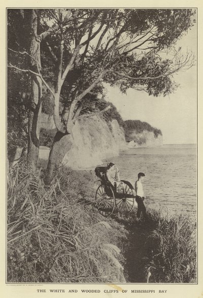 Les falaises blanches et boisées de la baie du Mississippi - Japanese Photographer
