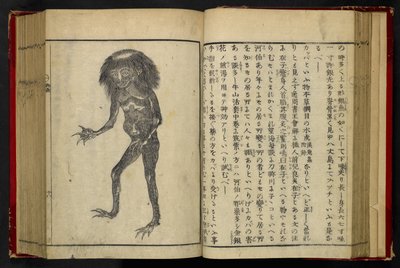 16084.d.15, f.24 Un Neneko Kappa, de 