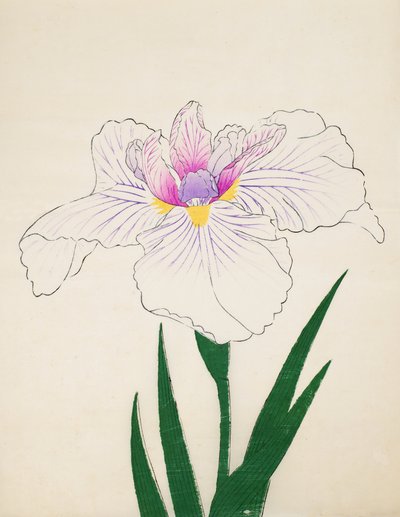 Akashi-no.-Ul, no.10, 1898 - Japanese School