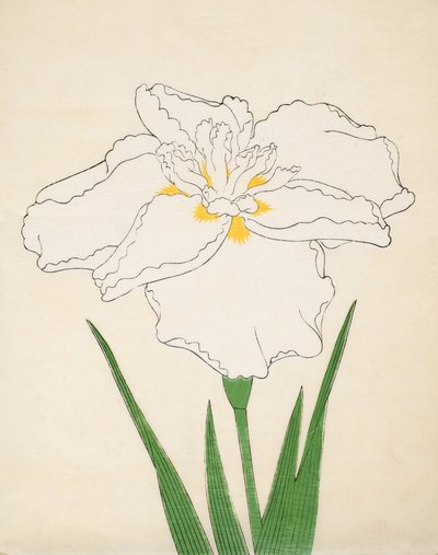 Bandai-No-Nami, No 1 - Japanese School