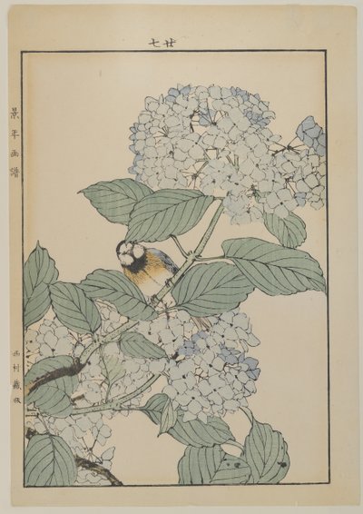 Oiseau avec hortensia, période Meiji, c.1868-1912 - Japanese School