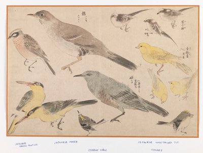 Oiseaux dans le style Okyo - Japanese School