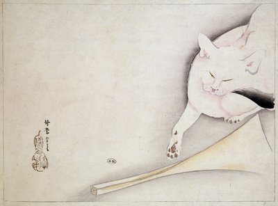 Chat, dessin japonais, n.d. 19e siècle - Japanese School