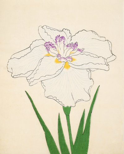 Cho-Hiyen, No. 91, 1890 - Japanese School