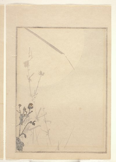 Chrysanthèmes - Japanese School