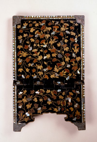 Détail du dos d