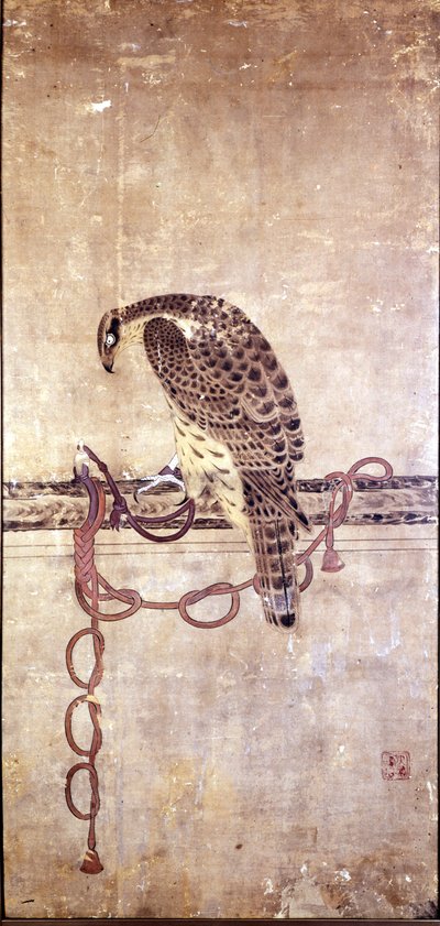 Faucon. Œuvre japonaise du 15ème siècle par Daysen. Gênes, Museo Chiossone - Japanese School
