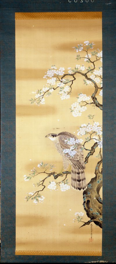 Faucon sur une branche de cerisier japonais en fleurs. Peinture sur soie du 18ème siècle du Japon. Gênes. Museo Chiossone - Japanese School
