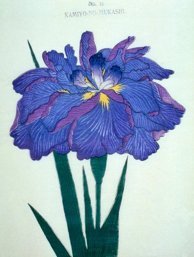 Kamiyo-no.-Mukashi no.16, 1898 - Japanese School