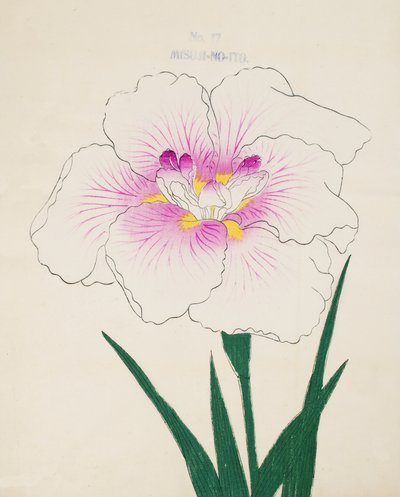 Misuji-no.-Ito, no.17, 1898 - Japanese School