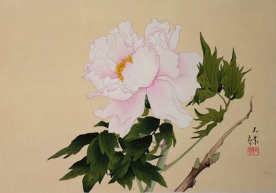 Pivoine, pub. 1950 - Japanese School