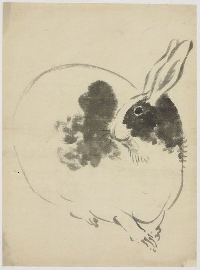 Lapin tacheté - Japanese School