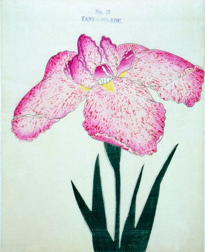 Tanka-no.-Koe, no.15, 1898 - Japanese School