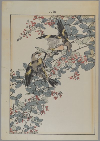 Deux oiseaux avec des fleurs roses, période Meiji, c.1868-1912 - Japanese School