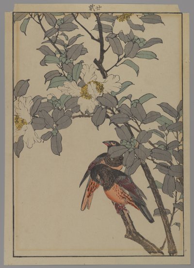 Deux oiseaux avec des fleurs blanches, période Meiji, 1892 - Japanese School