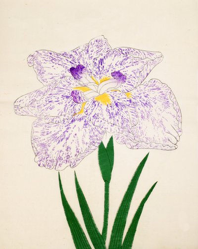 Yamato-Nishiki, n° 31, 1890 - Japanese School