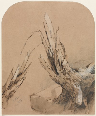 Un arbre foudroyé (recto) Plan d