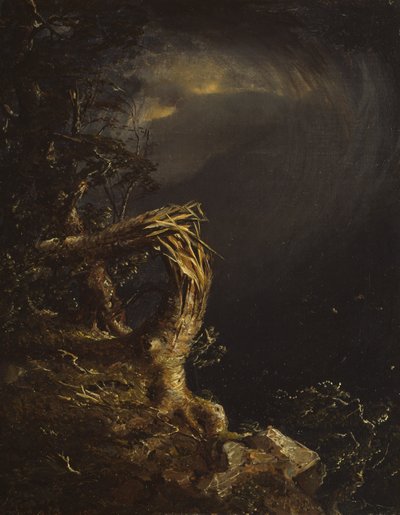 Arbre Foudroyé - Jasper Francis Cropsey