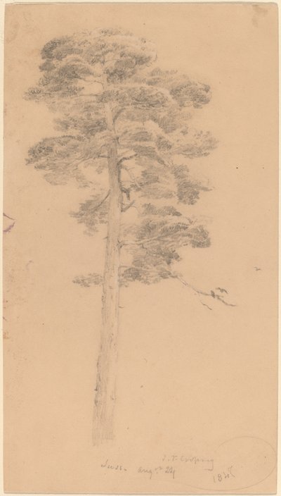 Pin - Jasper Francis Cropsey