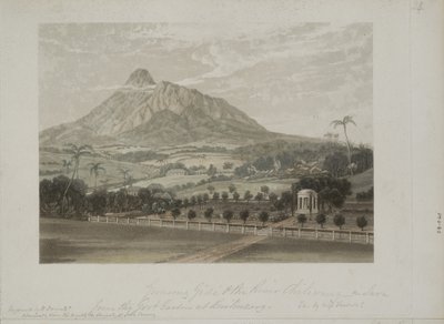 Jardin à Buitenzorg - Javanese School