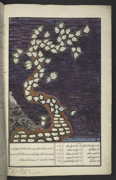 Tableau généalogique sous forme d