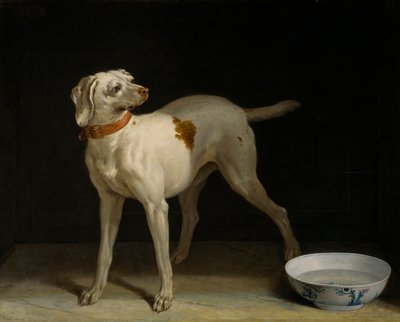 Chien - Jean Baptiste Oudry