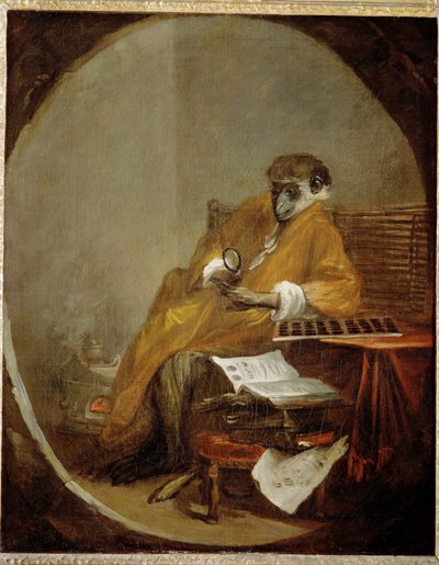 Le singe antiquaire - le singe collectionneur d