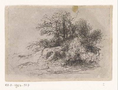 Buisson - Jean Alexis Achard