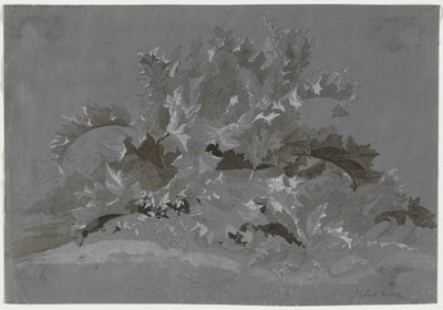 Étude de mauvaises herbes - Jean Antoine Linck