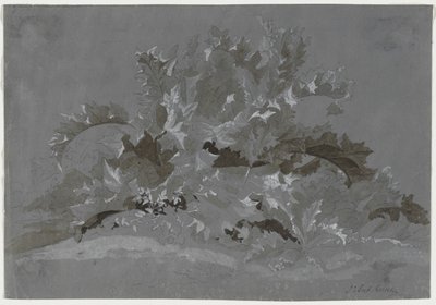 Étude de mauvaises herbes, 1800-1850 - Jean Antoine Linck