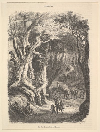 Vue dans la forêt de Morvan, 1837-66 - Jean Antoine Watteau
