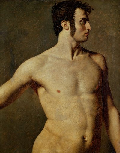 Torso masculin - Jean Auguste Dominique Ingres