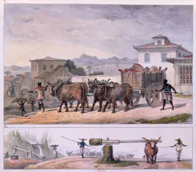Transport de viande et dressage d