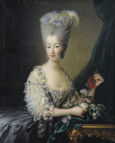 Princesse Marie-Thérèse de Savoie, Comtesse d