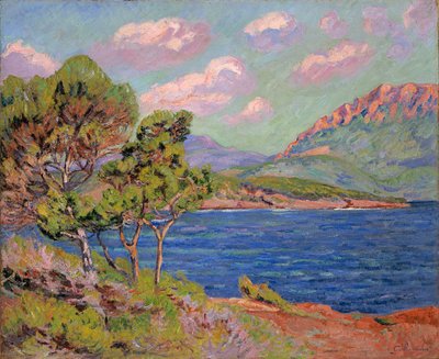 La baie d
