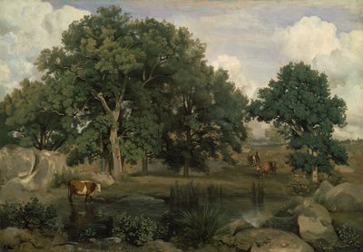 French: Forêt de Fontainebleau Forest of Fontainebleau - Jean Baptiste Camille Corot