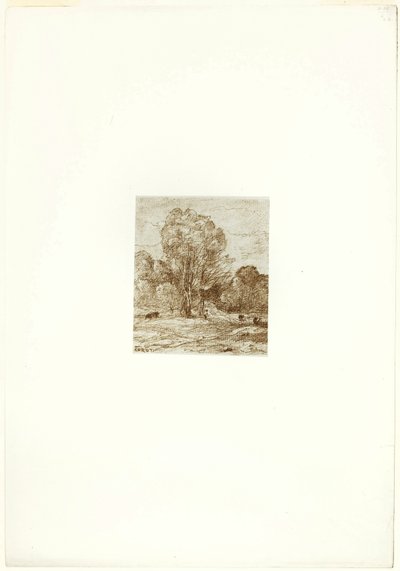 Le pâturage des vaches - Jean Baptiste Camille Corot