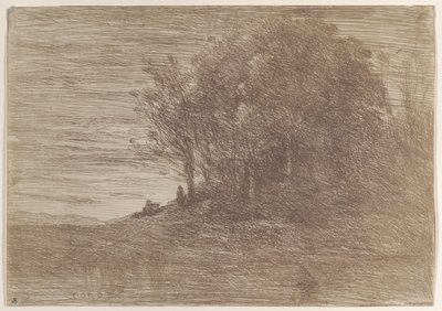 Les Bois de l