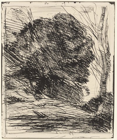 Arbres sur une montagne - Jean Baptiste Camille Corot