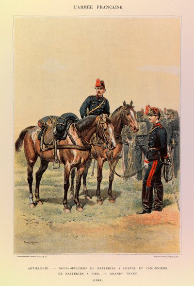 Types et uniformes de l